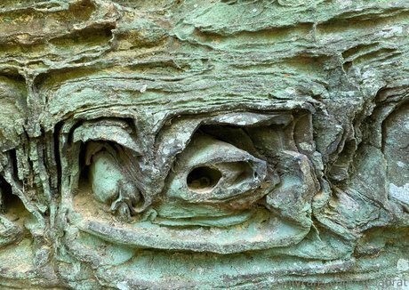 rukiabrat only fans nudes