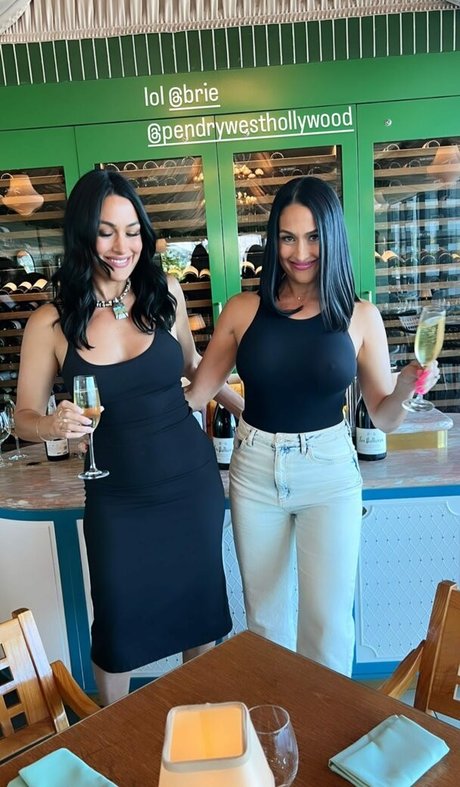 Nikki Bella onlyfans pictures