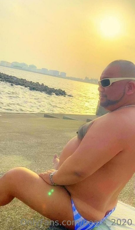 bears 2020 only fans review