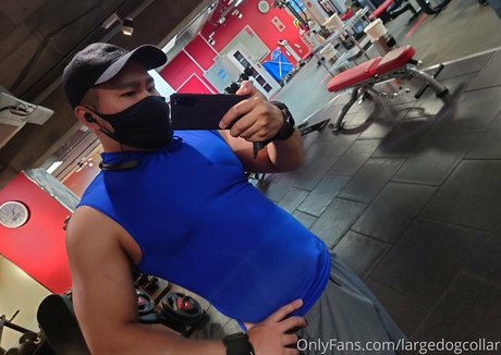 largedogcollar onlyfans naked