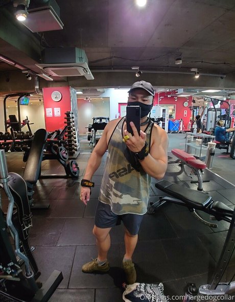 largedogcollar nude onlyfans leaked