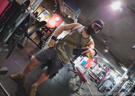 largedogcollar onlyfans picture