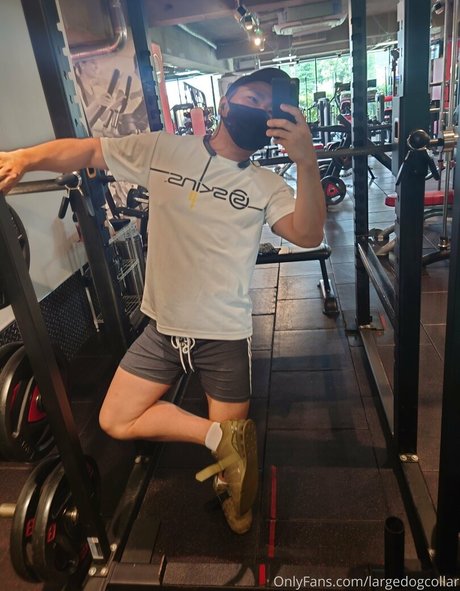 largedogcollar leaked porn onlyfans
