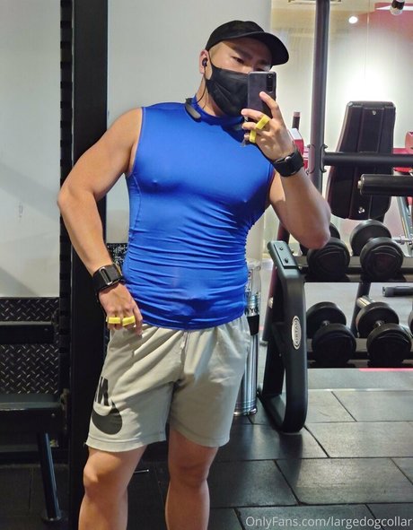 largedogcollar leaks onlyfans