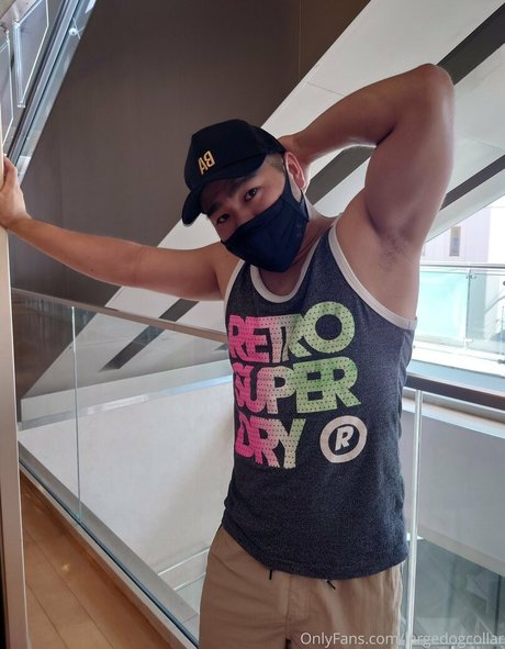 largedogcollar nudes onlyfans