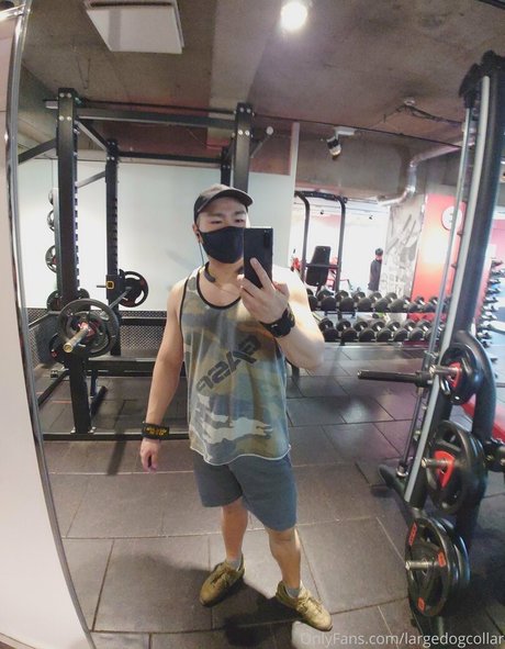 largedogcollar leaked onlyfans free