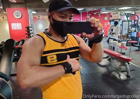 largedogcollar leak only fans