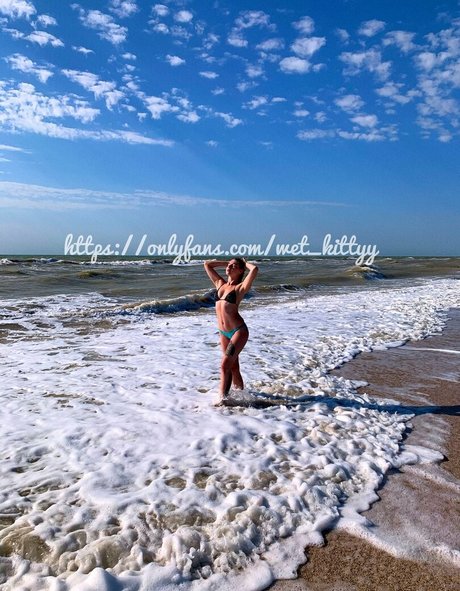 wet kittyy ukraine Profile image