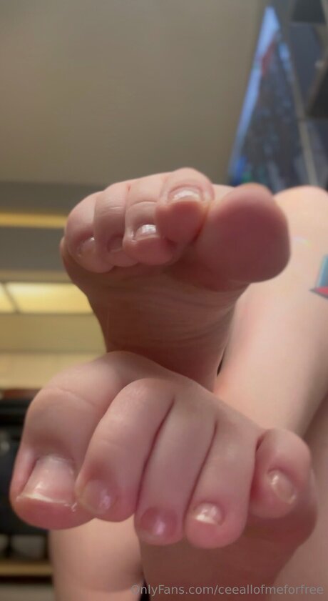 Ceeallofmeforfree onlyfans porn