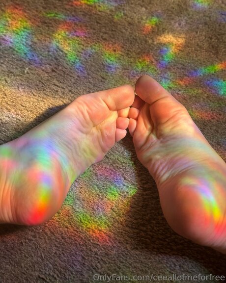 Ceeallofmeforfree new leaked onlyfans