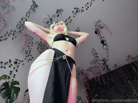 My Blushy Kittn Free nudes onlyfans leaked