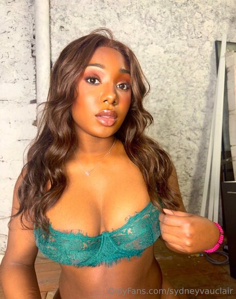 Sydneyvauclair onlyfans leaked nudes