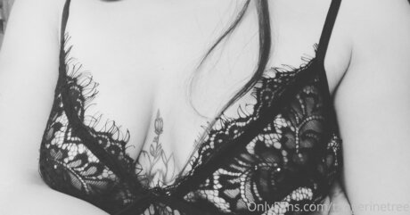 Tangerinetree leaks only fans