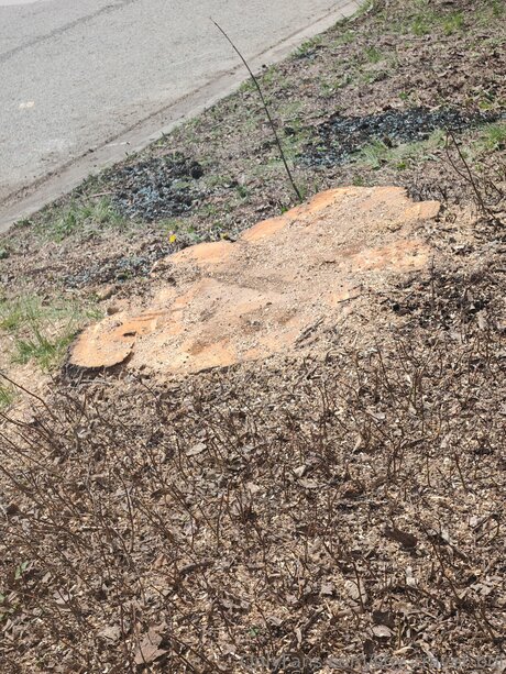 Shy Travel Boi only fans