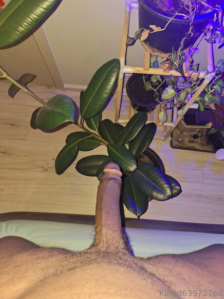 U370740840 leaks only fans