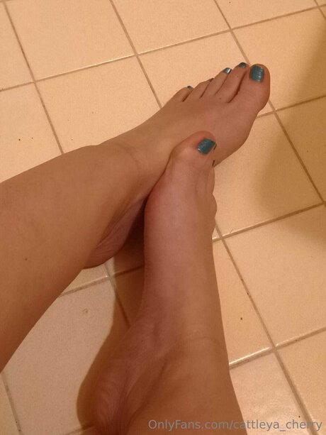 Cattleya Cherry onlyfans leaked nude