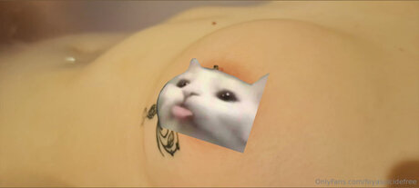 Feyasuicidefree only fans review