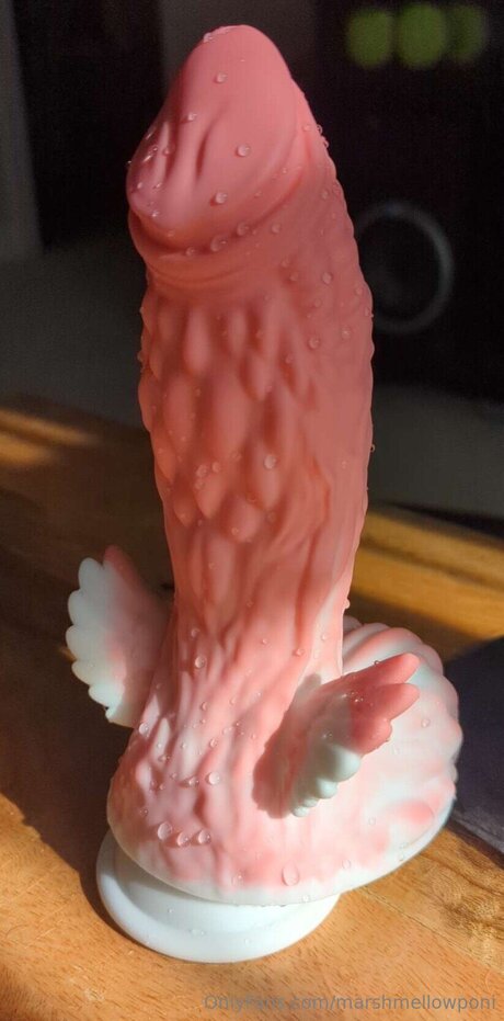 Marshmellowponi onlyfans leak new