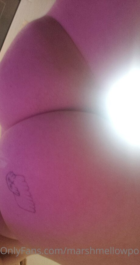 Marshmellowponi only fans