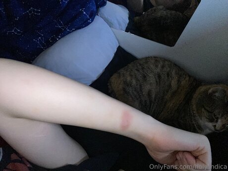 Holy Indica only fans leak