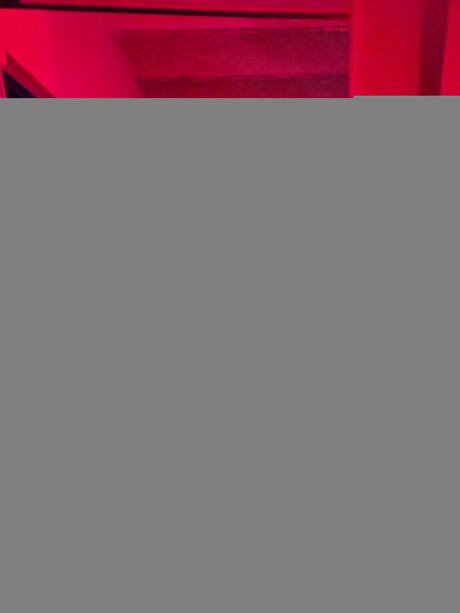 Rfk Raw new onlyfans leaks