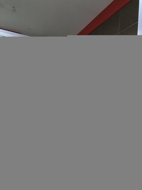 Rfk Raw onlyfans leaked free