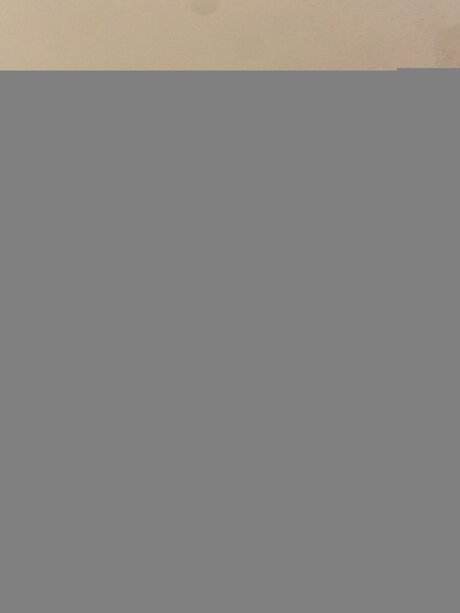 Resilvafree leaked onlyfans xxx