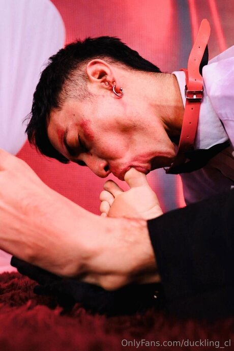 Duckling Cl onlyfans fotos