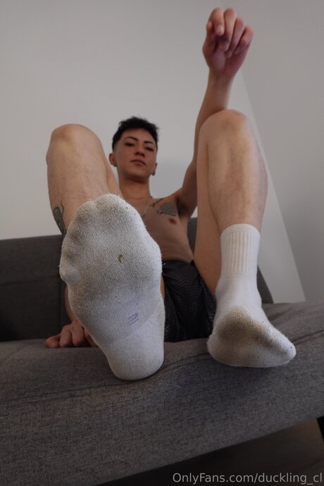 Duckling Cl Profile image