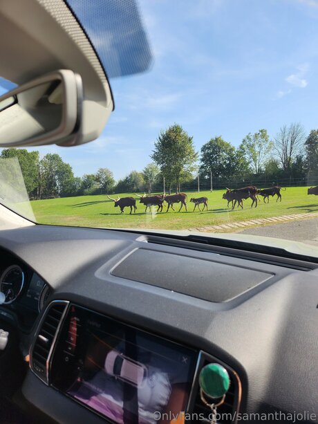 Samanthajolie porn onlyfans