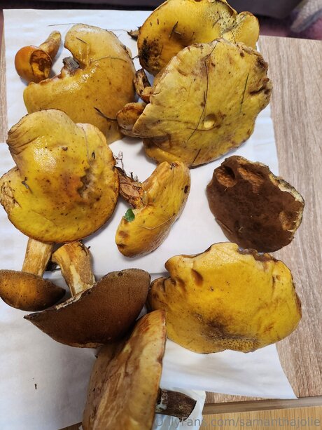 Samanthajolie naked leaked onlyfans