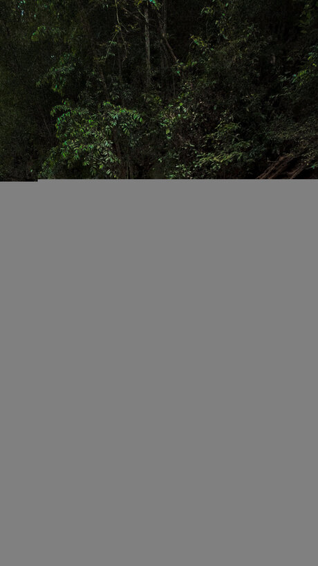 Isisoncam onlyfans naked