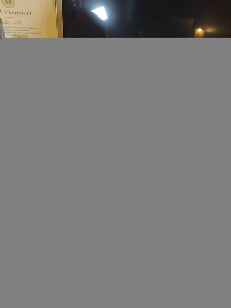 Heathengirl666  plate