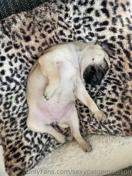 Sexypaigemadison onlyfans nude leaks