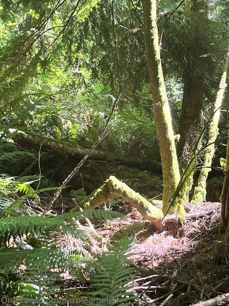 Offgridamelia onlyfans leak ass