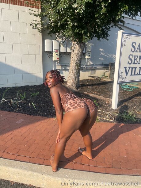 Chaatrawasshell leaked onlyfans pics