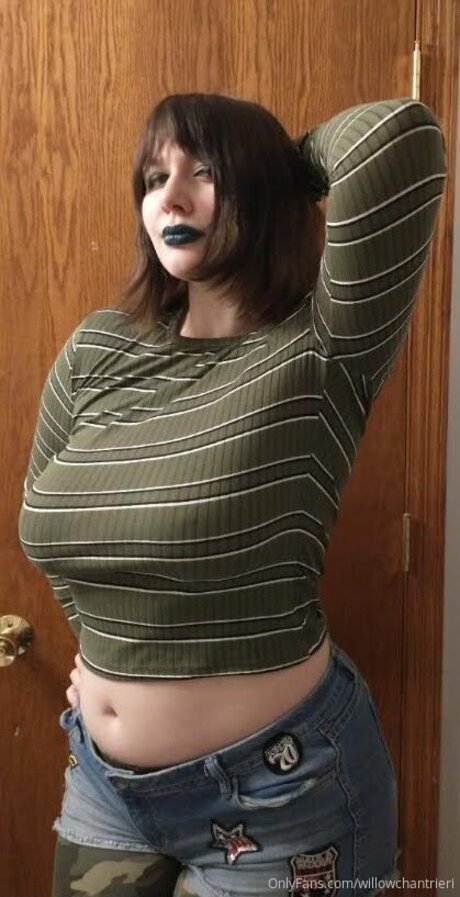 Willowchantrieri onlyfans sextape