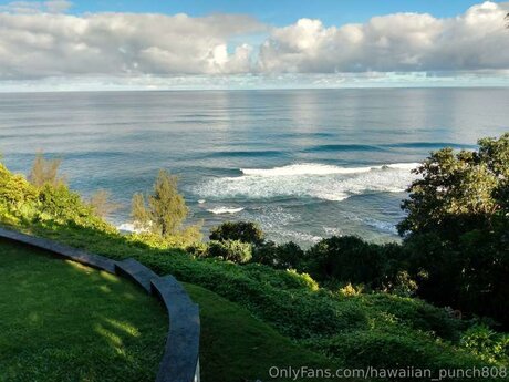 Hawaiian Punch808 nude on onlyfans