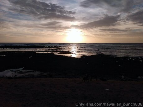 Hawaiian Punch808 leaked porn onlyfans