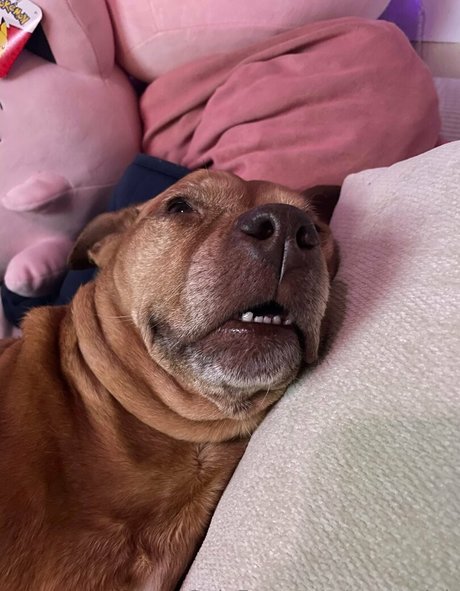 ebony feet onlyfans beautiful naked visuals