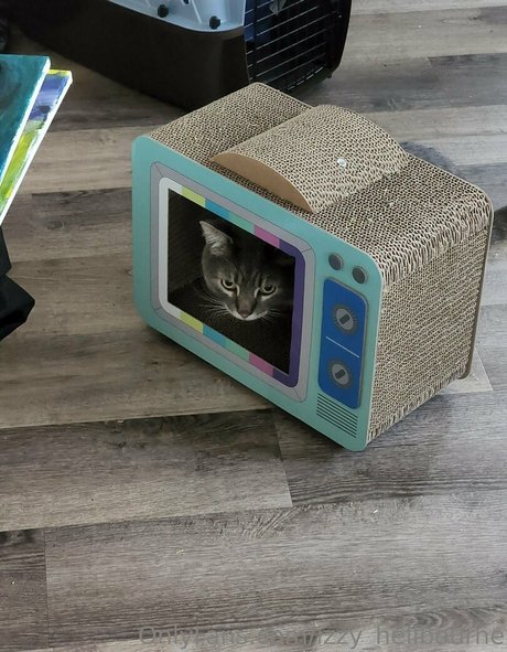 izzy hellbourne only fans