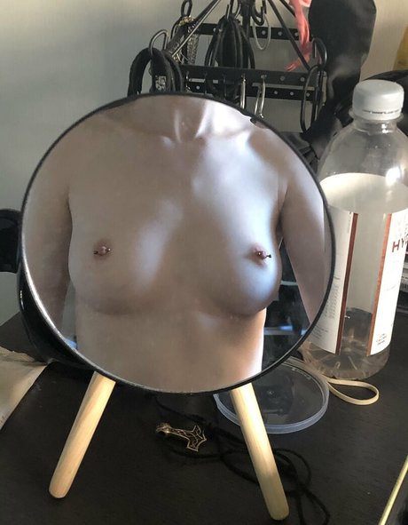 snakefoxbox  pictures