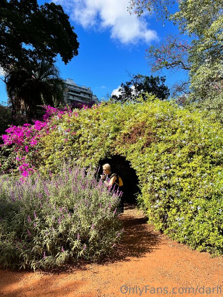 Darli boobs onlyfans