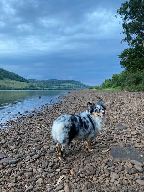 Darli onlyfans picture