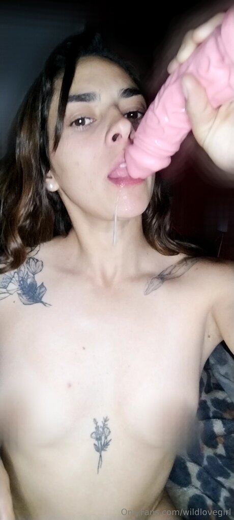 Wildlovegirl onlyfans leaked nudes