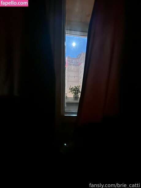 Brie cattii onlyfans striptease