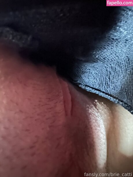 Brie cattii leaks only fans