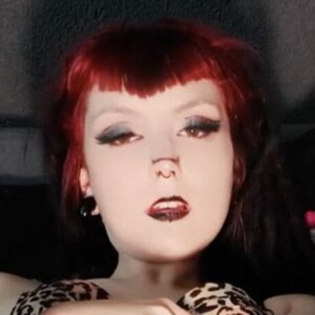 nekro slut666  galleries