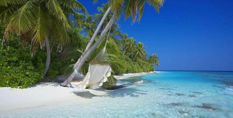 thedakotaa nude on onlyfans