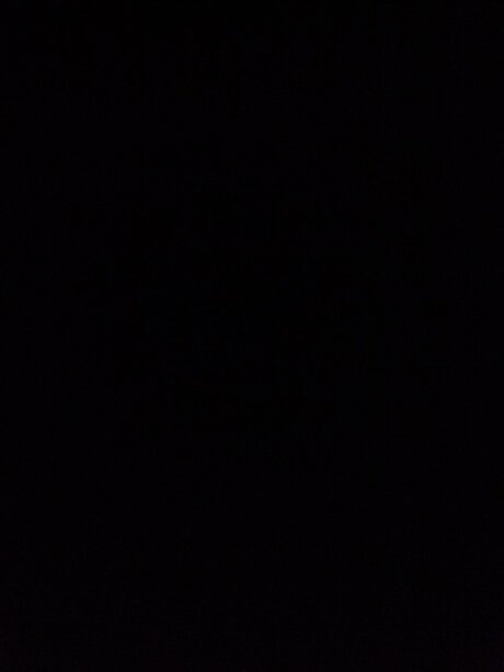 possum porn onlyfans leak